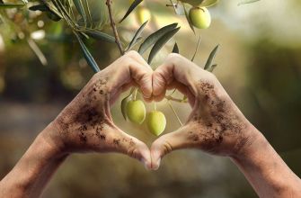 Olio extravergine di oliva Scovaventi: la salute parte dall'alimentazione