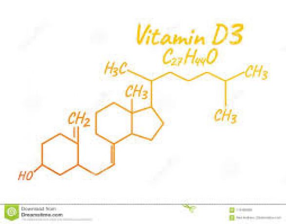 Sistema immunitario: la vitamina D